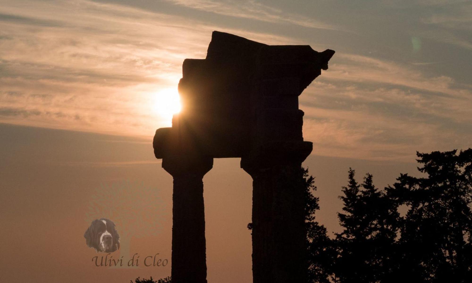 Pensjonat Ulivi Di Cleo Realmonte Zewnętrze zdjęcie